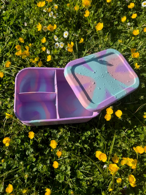 Best Bento Lunchbox