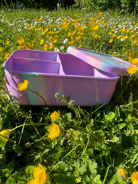 Best Bento Lunchbox