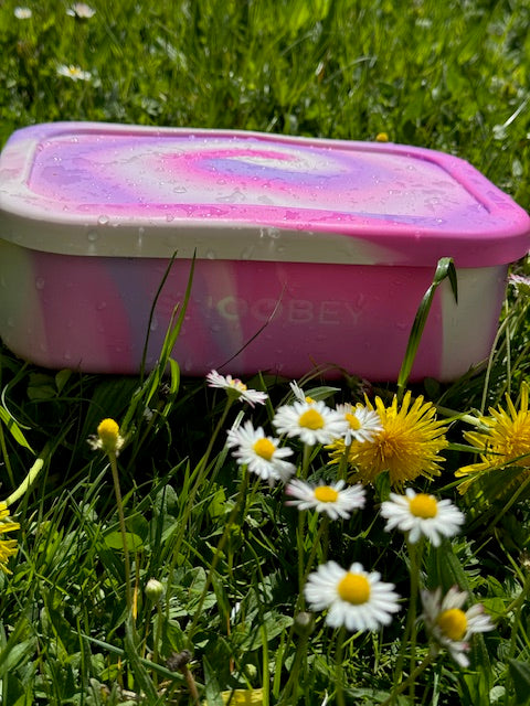 Best Bento Lunchbox