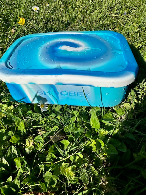 Best Bento Lunchbox