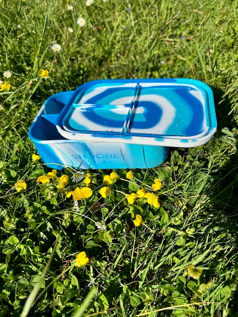 Best Bento Lunchbox