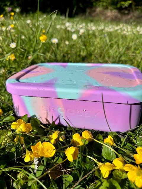 Best Bento Lunchbox