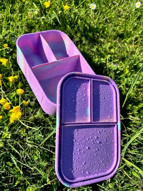 Best Bento Lunchbox